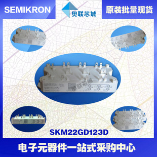 SKM22GD124D 功率西門(mén)康可控硅模塊,現(xiàn)貨直銷(xiāo)!