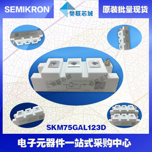 SKM75GAL123D 功率西門(mén)康可控硅模塊,現(xiàn)貨直銷(xiāo)!