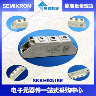 SKKH91/16E 功率西門(mén)康可控硅模塊,現(xiàn)貨直銷(xiāo)!