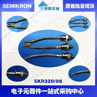 全新原裝功率平板晶閘管模塊SKR20/12 特價熱賣!