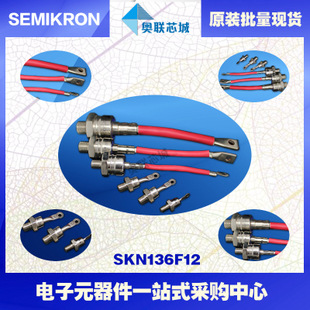 全新原裝功率平板晶閘管模塊SKN135F10 特價(jià)熱賣！