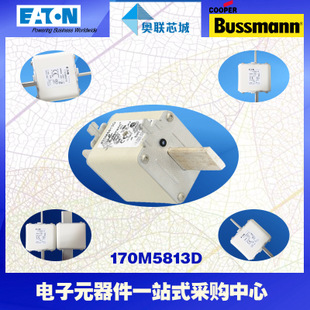 特價(jià)，原裝BUSSMANN快速熔斷器170M5813現(xiàn)貨,熱賣!