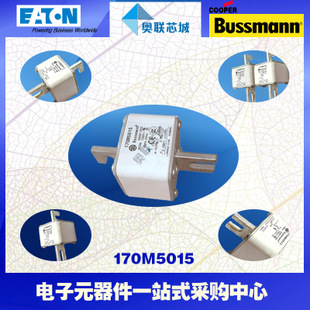 特價，原裝BUSSMANN快速熔斷器170M5065現(xiàn)貨,熱賣!