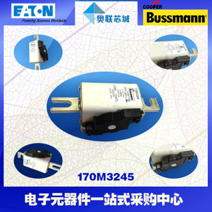 特價(jià)，原裝BUSSMANN快速熔斷器170M3198現(xiàn)貨,熱賣!