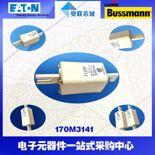 特價(jià)，原裝BUSSMANN快速熔斷器170M3066現(xiàn)貨,熱賣!