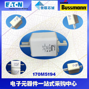 特價(jià)，原裝BUSSMANN快速熔斷器170M5264現(xiàn)貨,熱賣!