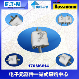 特價(jià)，原裝BUSSMANN快速熔斷器170M6810現(xiàn)貨,熱賣!