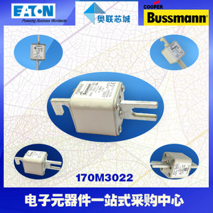特價(jià)，原裝BUSSMANN快速熔斷器170M3122現(xiàn)貨,熱賣(mài)!