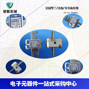 原裝法雷Ferraz/羅蘭熔斷器A070UD30KI450 T301064特價(jià)