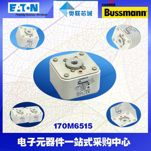 特價(jià)，原裝BUSSMANN快速熔斷器170M6501現(xiàn)貨,熱賣!