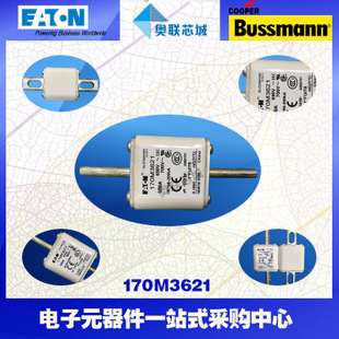 特價(jià)，原裝BUSSMANN快速熔斷器170M3660現(xiàn)貨,熱賣!