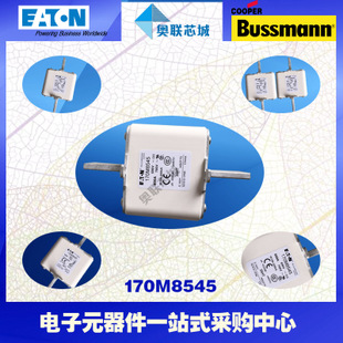 特價，原裝BUSSMANN快速熔斷器170M8538現(xiàn)貨,熱賣!