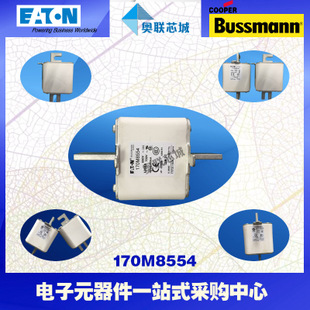 特價，原裝BUSSMANN快速熔斷器170M8535現(xiàn)貨,熱賣!