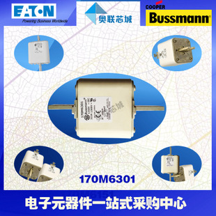 特價(jià)，原裝BUSSMANN快速熔斷器170M6339現(xiàn)貨,熱賣!