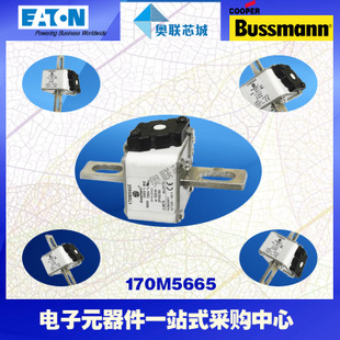 特價(jià)，原裝BUSSMANN快速熔斷器170M5691現(xiàn)貨,熱賣(mài)!
