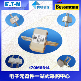 特價(jià)，原裝BUSSMANN快速熔斷器170M6699現(xiàn)貨,熱賣!